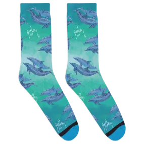 Dolphins Socks